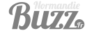 Logo Normandie Buzz
